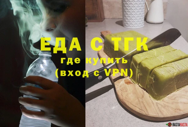 индика Балахна