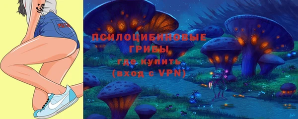 индика Балахна