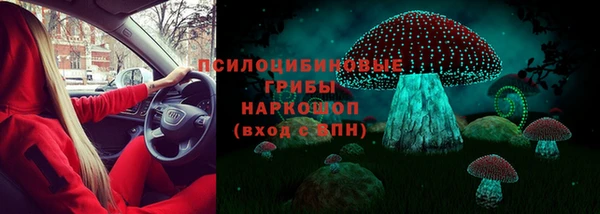 индика Балахна