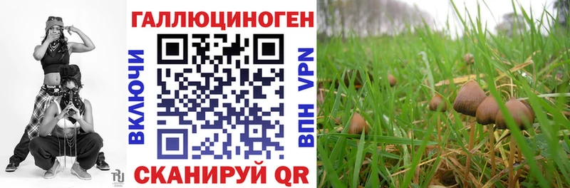 Галлюциногенные грибы мицелий  наркота  Нерюнгри 