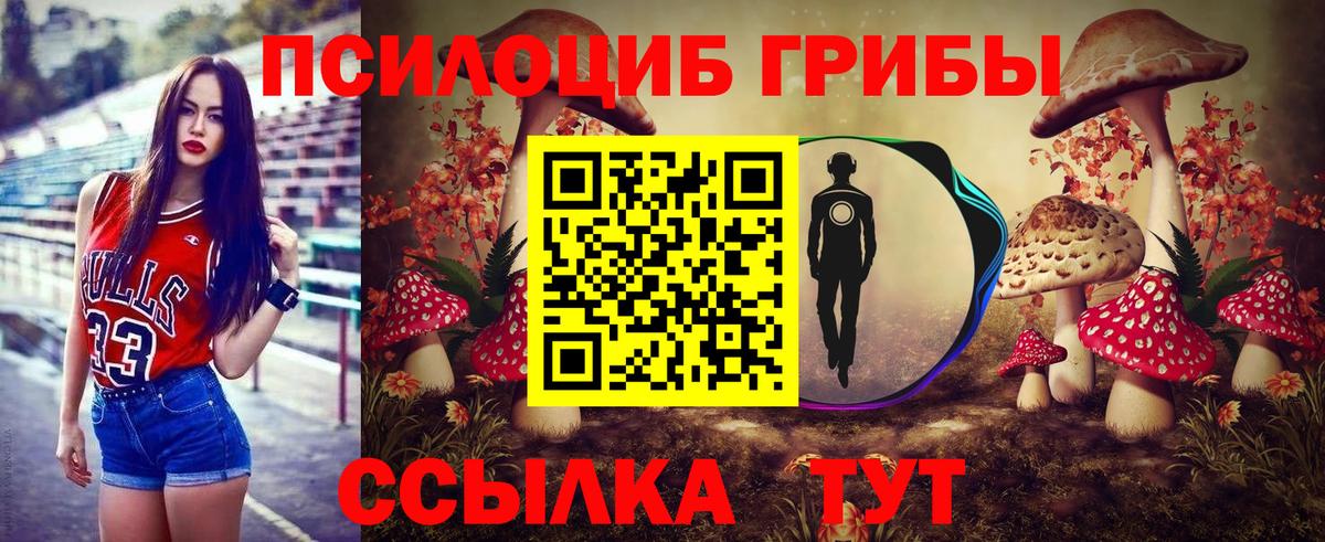 наркотики  Галлюциногенные грибы мухоморы  Вход с VPN  Нерюнгри 
