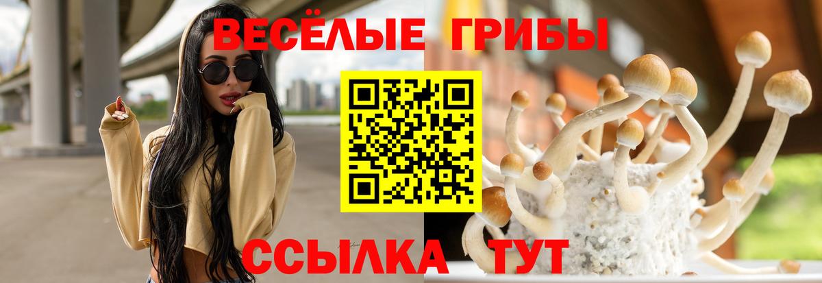 Галлюциногенные грибы Psilocybine cubensis Нерюнгри